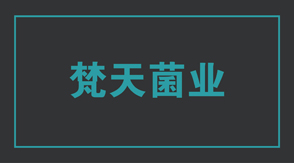 食品行业萍乡冲锋衣设计款式